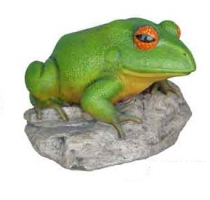 Frog Large